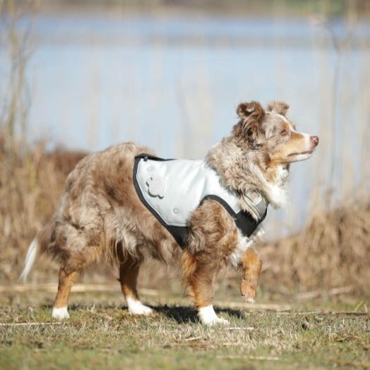 Gilet rafraîchissant gris