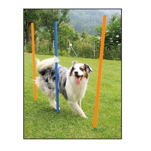 set de slalom d‘Agility