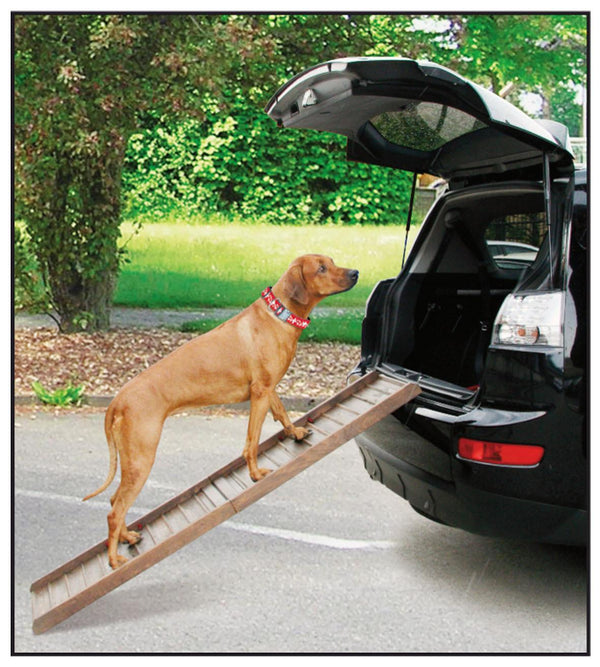 rampe d’auto pour chiens Boarding