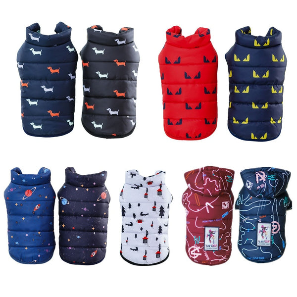 Gilet coupe-vent pour chien