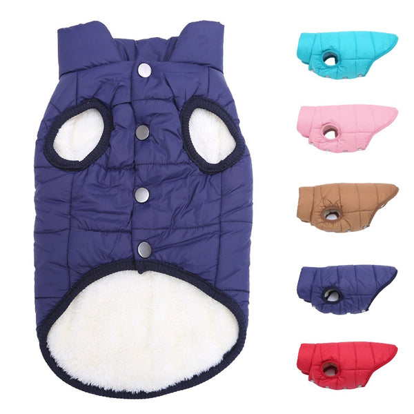 Gilet doublé pour chien