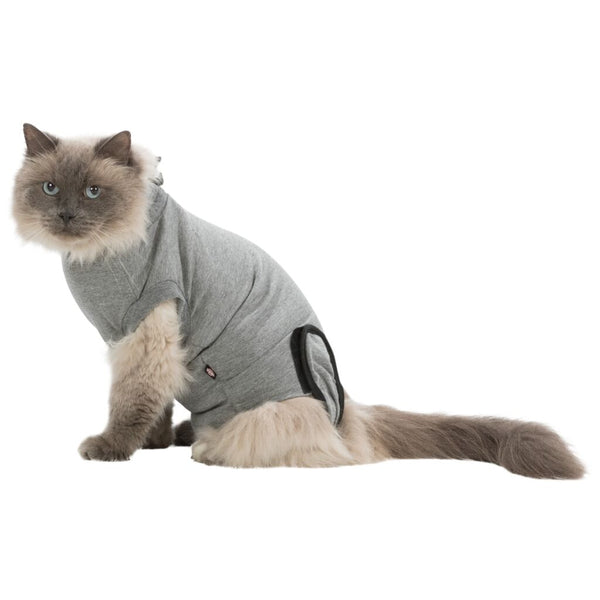Corps chirurgical pour chats