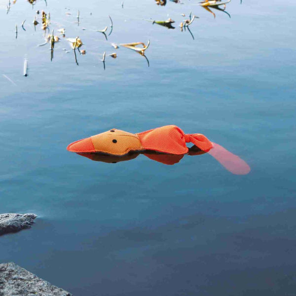 Canard Aqua Toy, nage, 50 cm